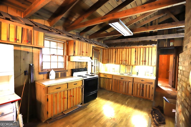 350 County Road 700, Cedar Bluff, AL 35959 - kitchen featuring electric range oven, under cabinet range hood, light countertops, wood finished floors, and brown cabinets