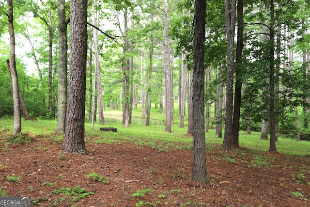 350 County Road 700, Cedar Bluff, AL 35959 - view of local wilderness