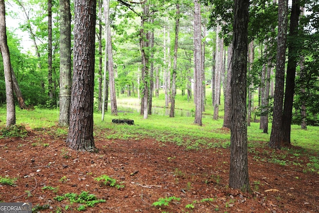 350 County Road 700, Cedar Bluff, AL 35959 - view of nature