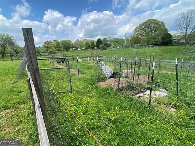 view of yard featuring a rural view