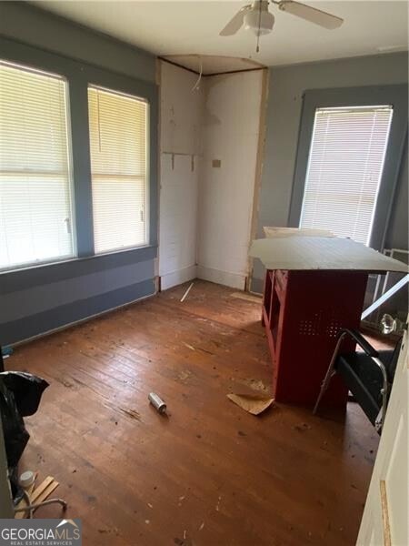 interior space featuring hardwood / wood-style flooring and ceiling fan