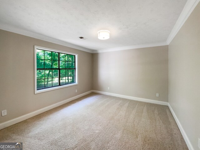 spare room with ornamental molding and carpet