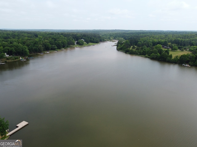 view of water view