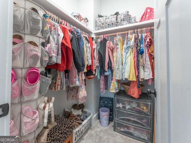 spacious closet featuring carpet flooring