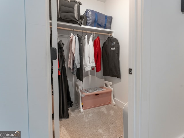 walk in closet featuring carpet flooring