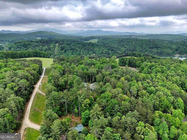 drone / aerial view featuring a mountain view