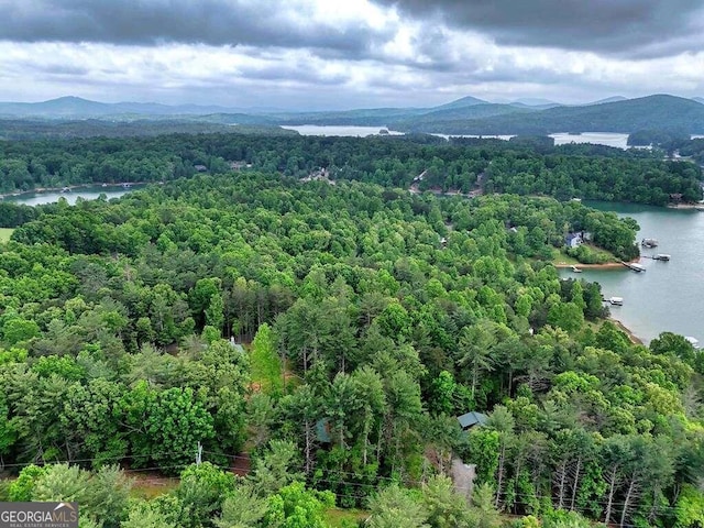 drone / aerial view with a water and mountain view