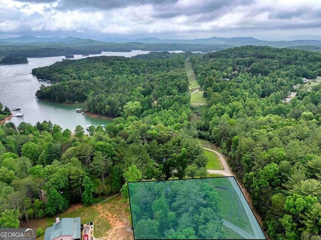 bird's eye view featuring a water and mountain view