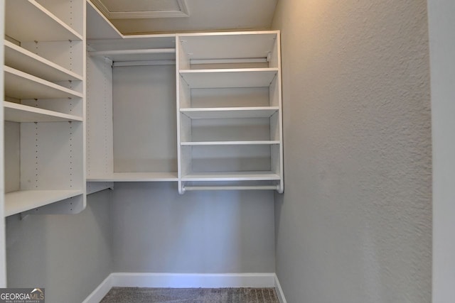 view of walk in closet