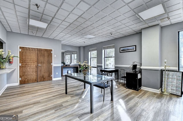 office area featuring a paneled ceiling and light hardwood / wood-style flooring