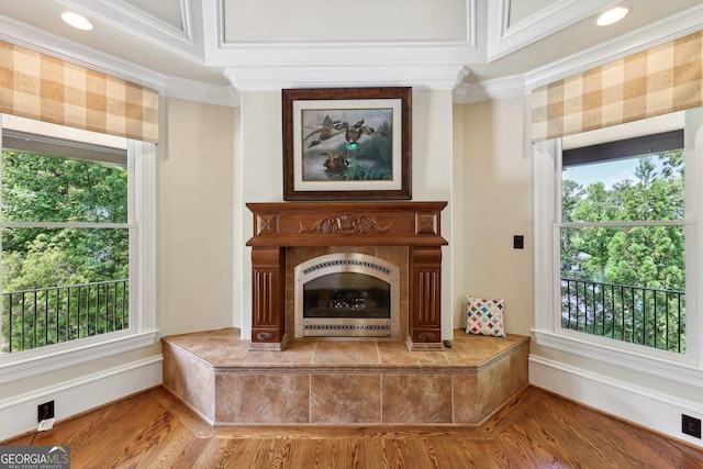 interior space with a fireplace, hardwood / wood-style floors, and crown molding