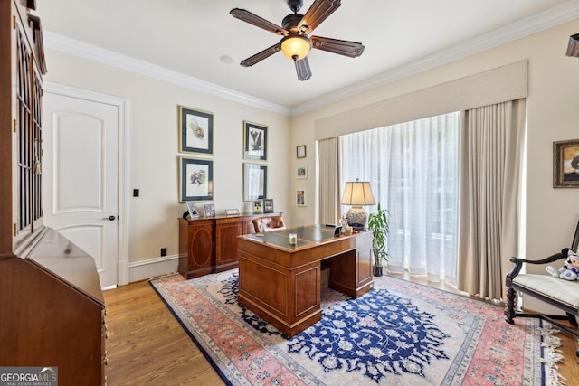 office space featuring crown molding, light hardwood / wood-style flooring, and ceiling fan