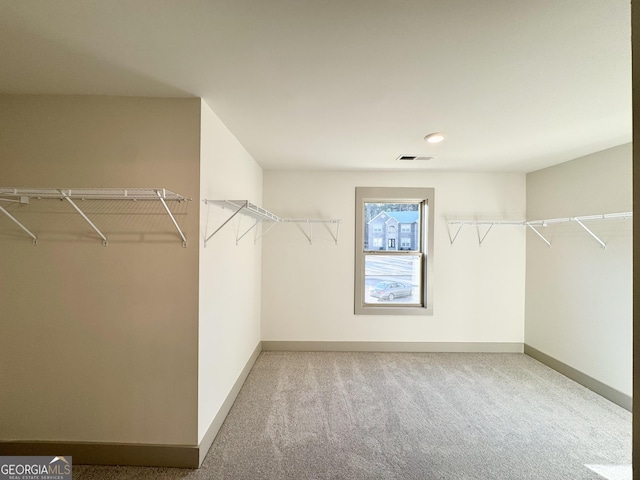 spacious closet with carpet floors