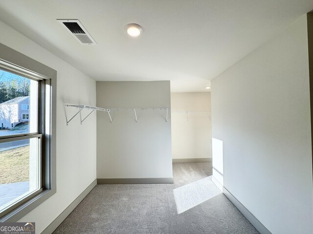 spacious closet featuring light colored carpet