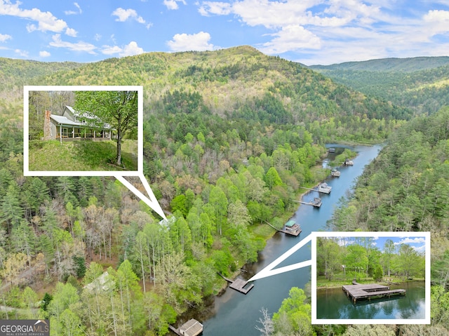 birds eye view of property with a water and mountain view