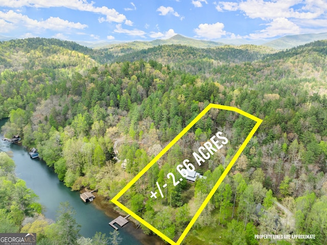 birds eye view of property with a water and mountain view