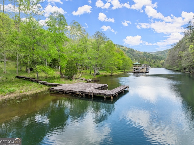 view of dock with a water view