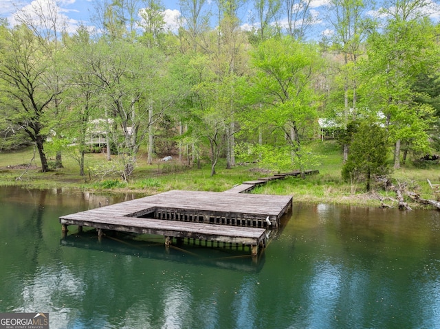 view of dock with a water view