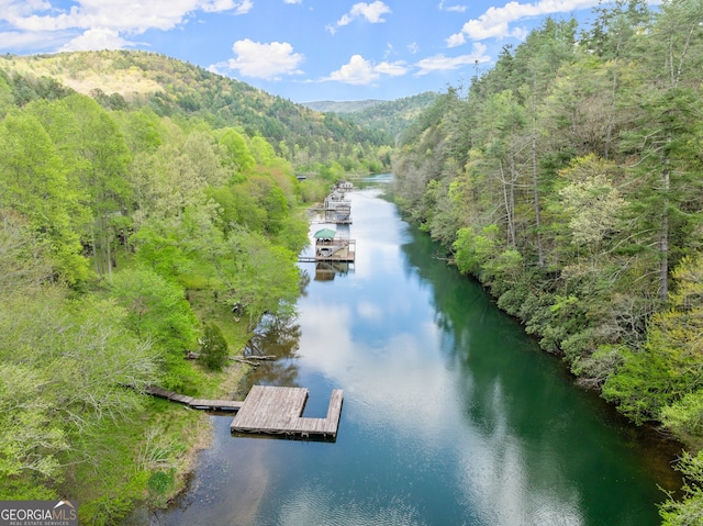 view of water feature with a dock