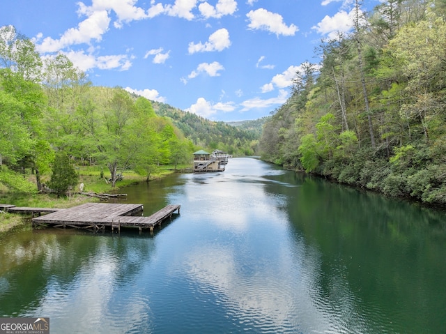 property view of water with a dock