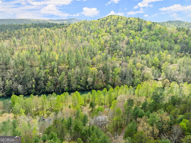 view of mountain feature