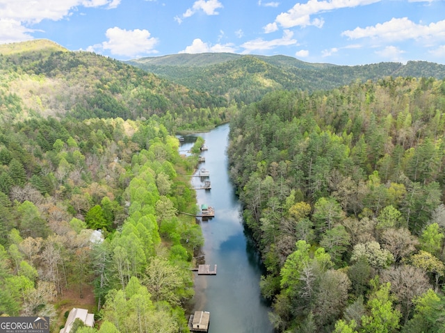 bird's eye view with a water and mountain view