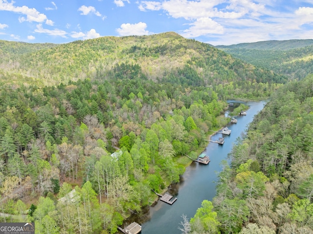 birds eye view of property with a water and mountain view