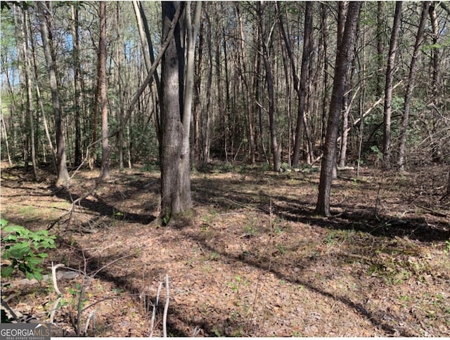 view of local wilderness