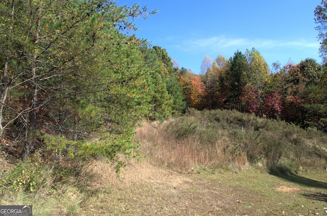 Listing photo 3 for LOT16 Summit Trl Unit 16, Blairsville GA 30512