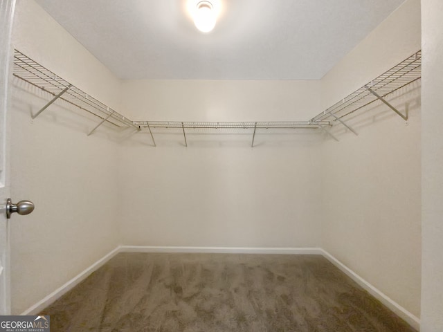 spacious closet with carpet floors