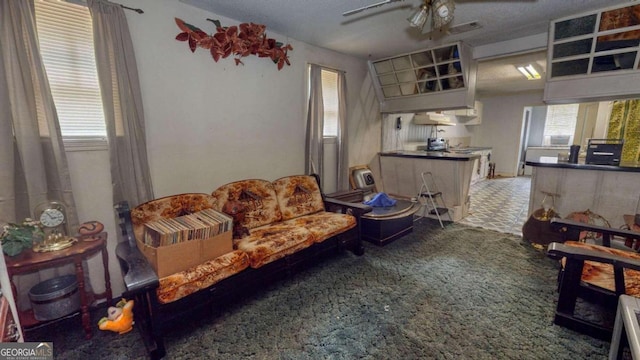 carpeted living room featuring ceiling fan