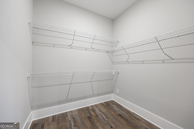 walk in closet with wood-type flooring