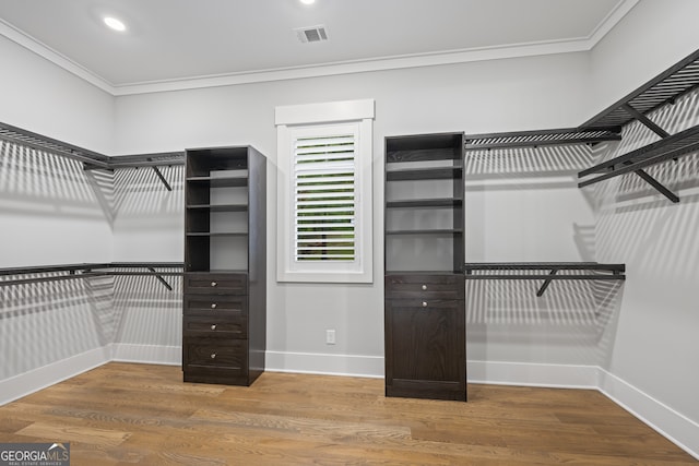 spacious closet with wood-type flooring