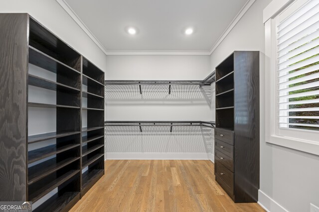 walk in closet with light hardwood / wood-style flooring