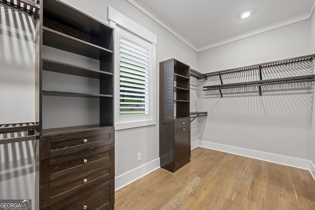 spacious closet featuring light hardwood / wood-style flooring