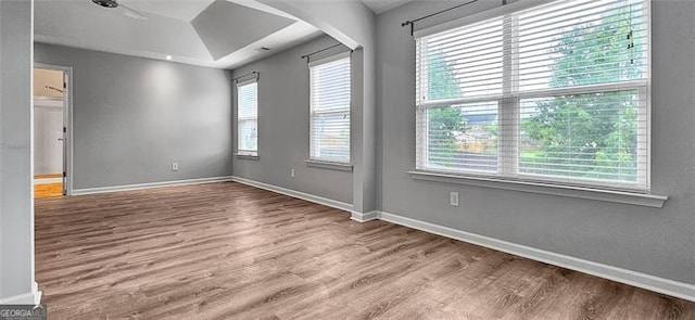 unfurnished room with wood-type flooring