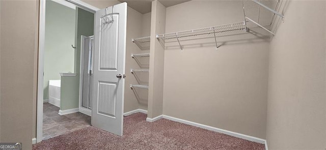 spacious closet with carpet flooring