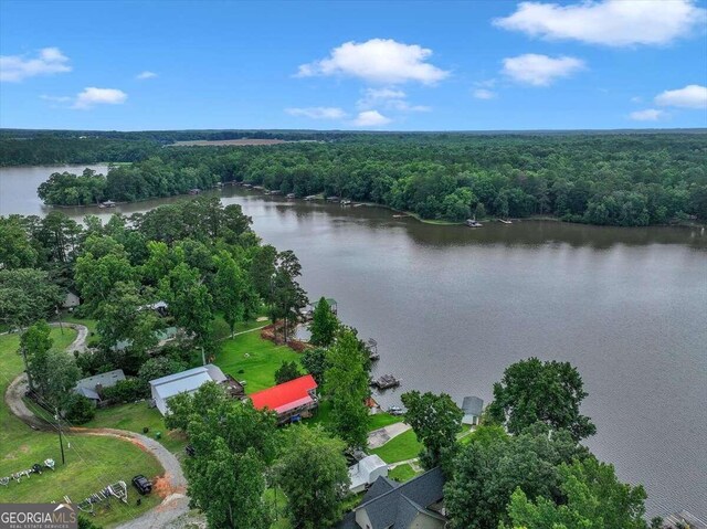 aerial view with a water view