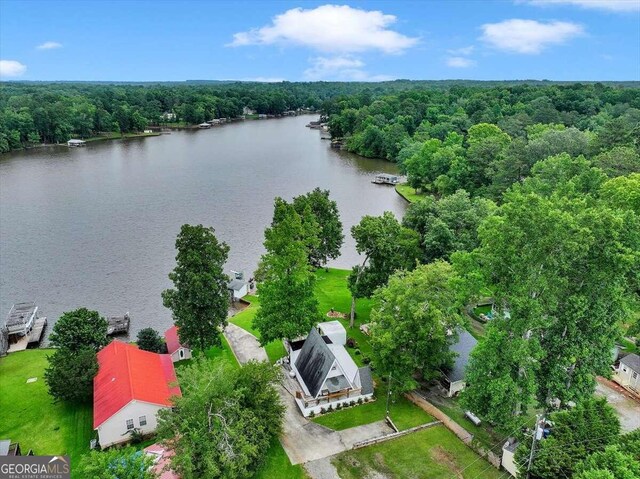 bird's eye view with a water view