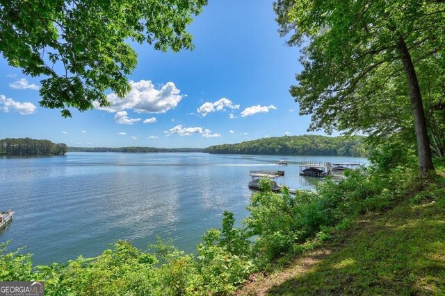 view of water feature with a boat dock