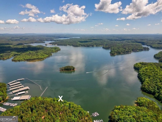 drone / aerial view featuring a water view and a wooded view