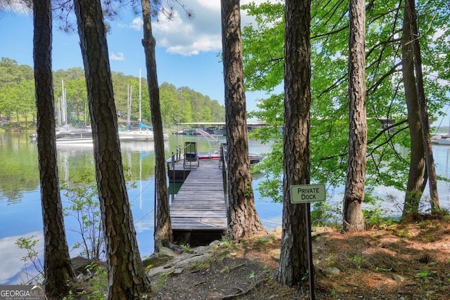 dock area with a water view