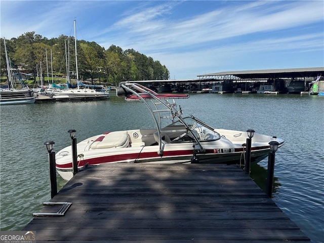 dock area with a water view