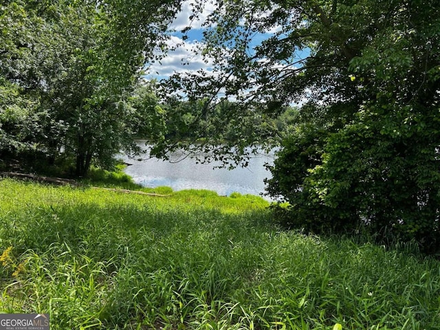 view of local wilderness featuring a water view