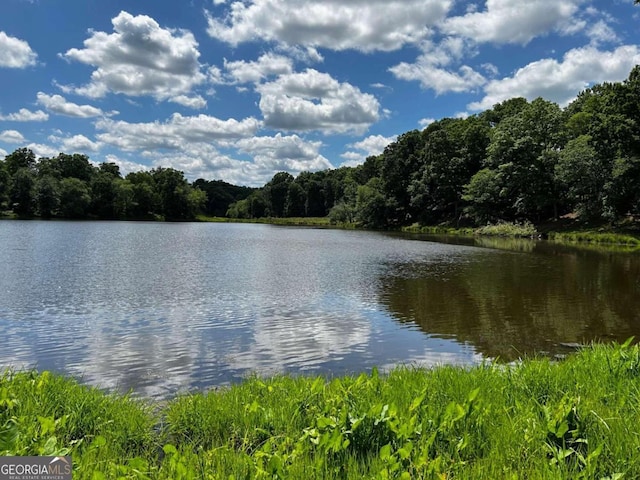 view of water view