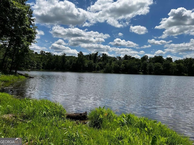 view of water view