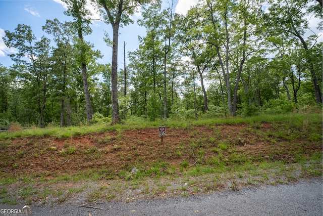 Listing photo 3 for 0 Sundown Trl Lot 135, Ellijay GA 30540