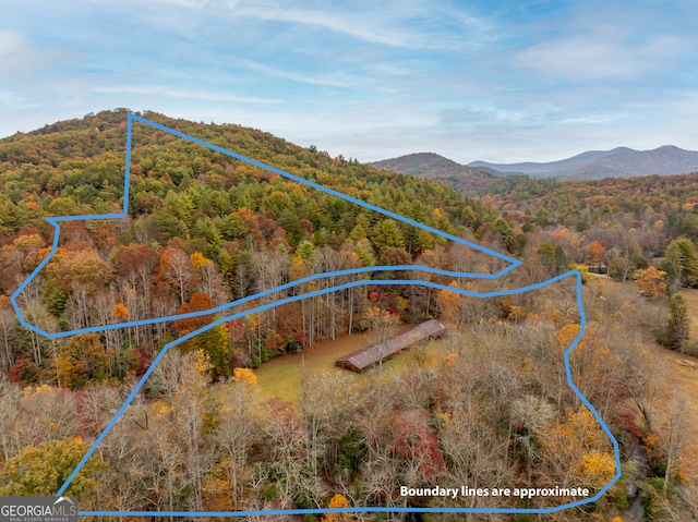 drone / aerial view featuring a mountain view