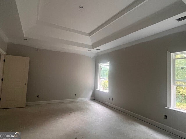 spare room featuring plenty of natural light and a raised ceiling