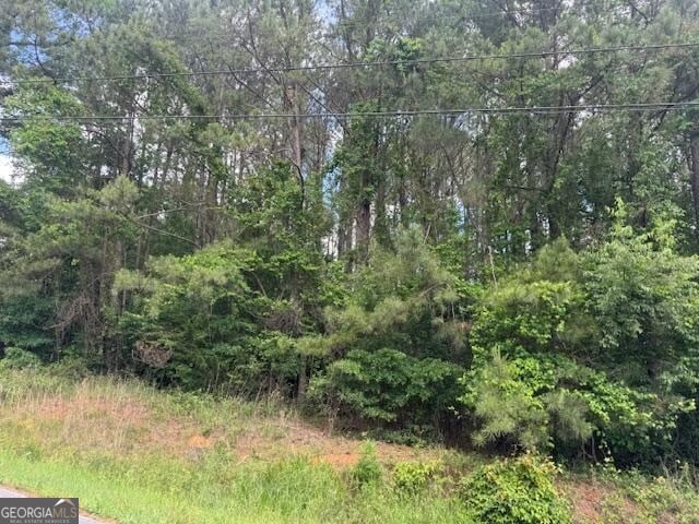 0 Marvin Ave, Summerville GA, 30747 land for sale